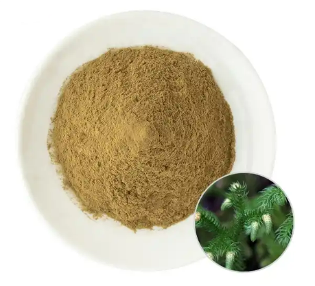 Lycopodium extract.png